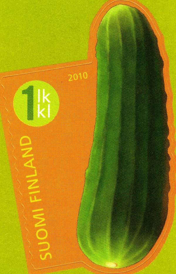 Cucumber