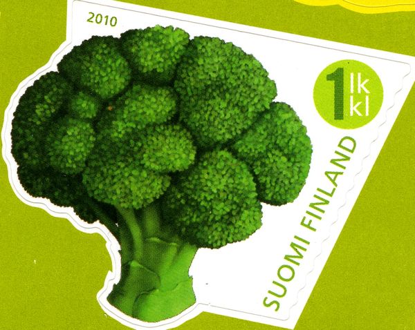 Broccoli