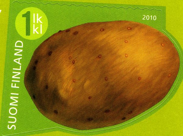 Potato