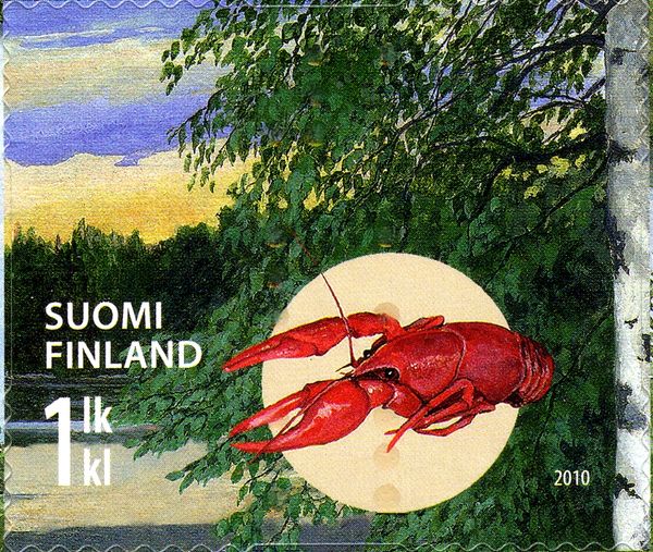 European Lobster (Homarus vulgaris)