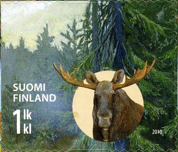 Moose (Alces alces)