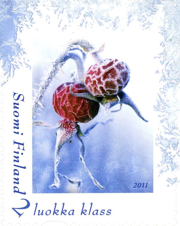 Personal Stamp - Rosehip