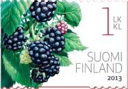 Blackberry (Rubus fruticosus)