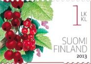 Redcurrant (Ribes rubrum)