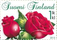 Red Rose