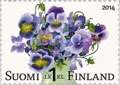 Bunch of violas