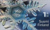 Ice Crystal