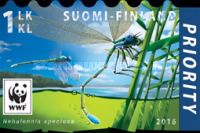 Pygmy Damselfly (Nehalennia speciosa)