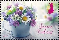 Summer Flowers