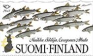 Norden, Vendace (Coregonus albula)