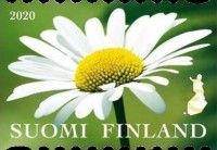 International Year of Plant Health, Ox-eye Daisy