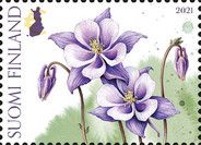 Purple Columbine (Aquilegia)