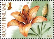 Yellow-Brown Lily