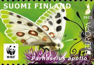 Mountain Apollo (Parnassius apollo)