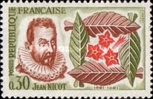 Tobacco - Jean Nicot 1561