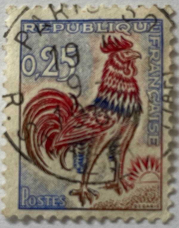 "Coq of Decaris" (Gallus gallus domesticus)