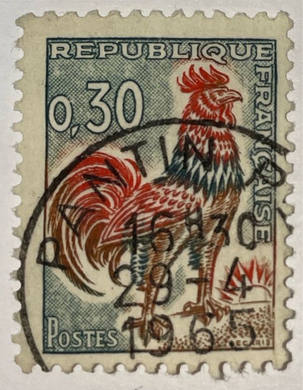 Gallic Cock (Gallus gallus domesticus)