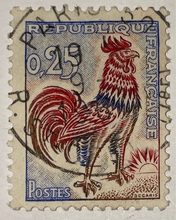 Gallic Cock (Gallus gallus domesticus)