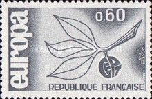 C.E.P.T.- Fruit
