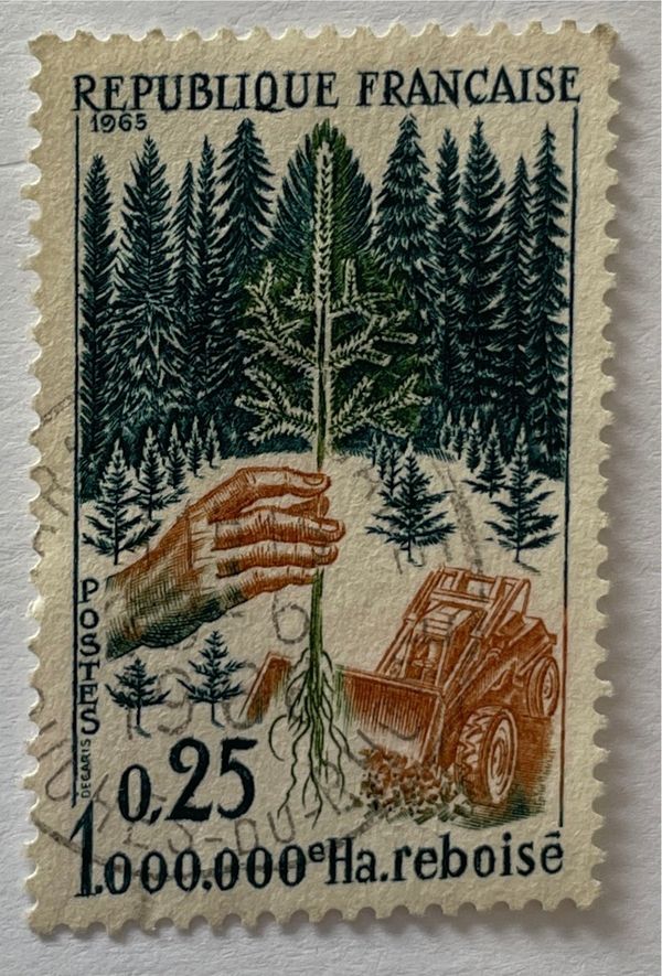 The 1,000,000th Hectare Reforested