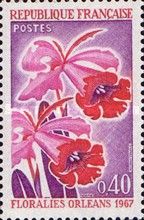 Orleans Flower Show