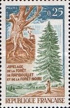 Twinning of the Rambouillet forest and the Black Forest