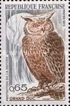 Eurasian Eagle-Owl (Bubo bubo)