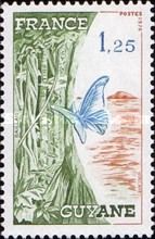 Guyane