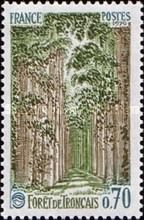 Tronçais Forest