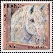 The Percheron by Jacques Birr