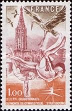 White Stork (Ciconia ciconia), Gymnast, Strasbourg Cathedral