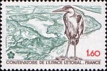 Grey Heron (Ardea cinerea), Coastal Landscape