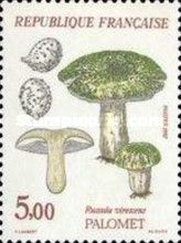 Palomet (Russula Virescens)