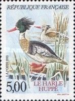 Red-breasted Merganser (Mergus serrator)