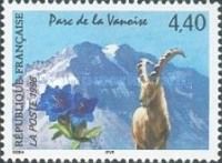 Vanoise National Park: Alpine Ibex (Capra ibex), Gentian
