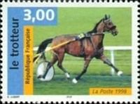Trotter Horse (Equus ferus caballus)