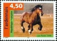 Ardennes Horse (Equus ferus caballus)