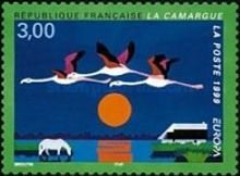 C.E.P.T - Camargue Landscape with Horse and Flamingo