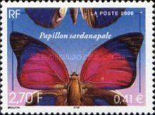 Claudina Agrias (Agrias claudina ssp. sardanapalus)