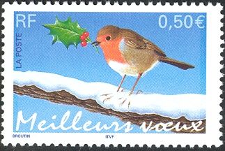 European Robin (Erithacus rubecula)