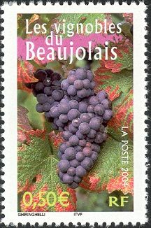 The Vineyards of Beaujolais