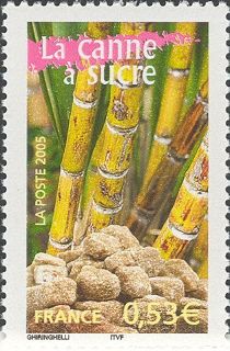 Sugar Cane