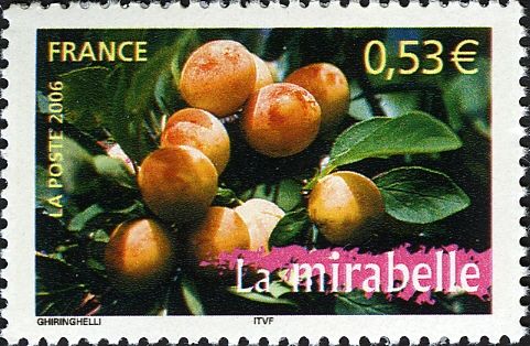 Mirabelle Plum