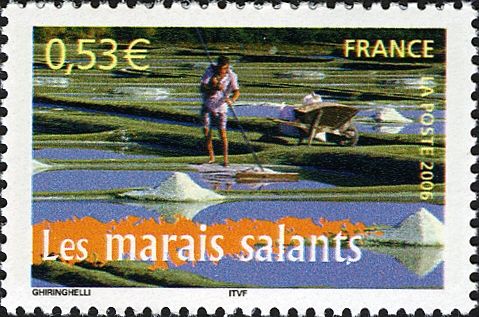 Salt Marshes
