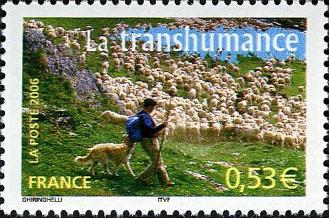 Transhumance