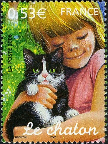 Kitten (Felis silvestris catus)