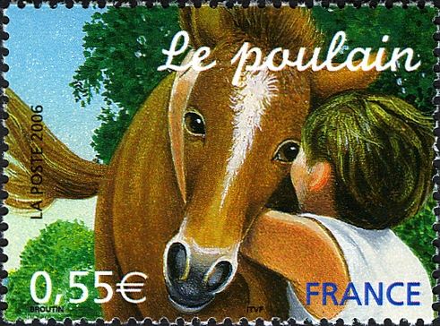 Foal (Equus ferus caballus)