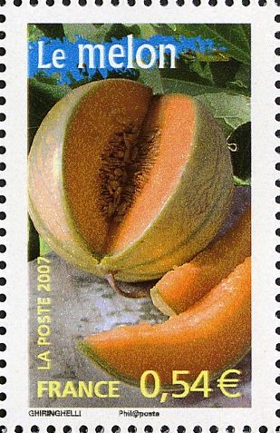 Melon