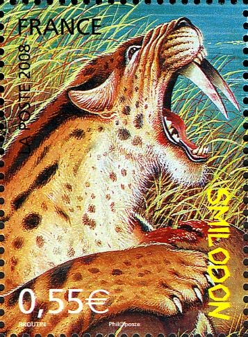 Saber-Tooth-Tiger (Smilodon sp.)