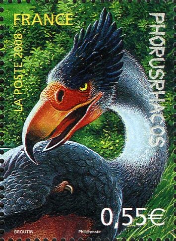 Terror Bird (Phorusrhacos sp.)